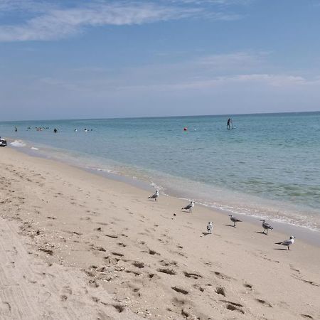 New Luxury Apartment 2Br 2Ba Direct Beach Access 好莱坞 外观 照片