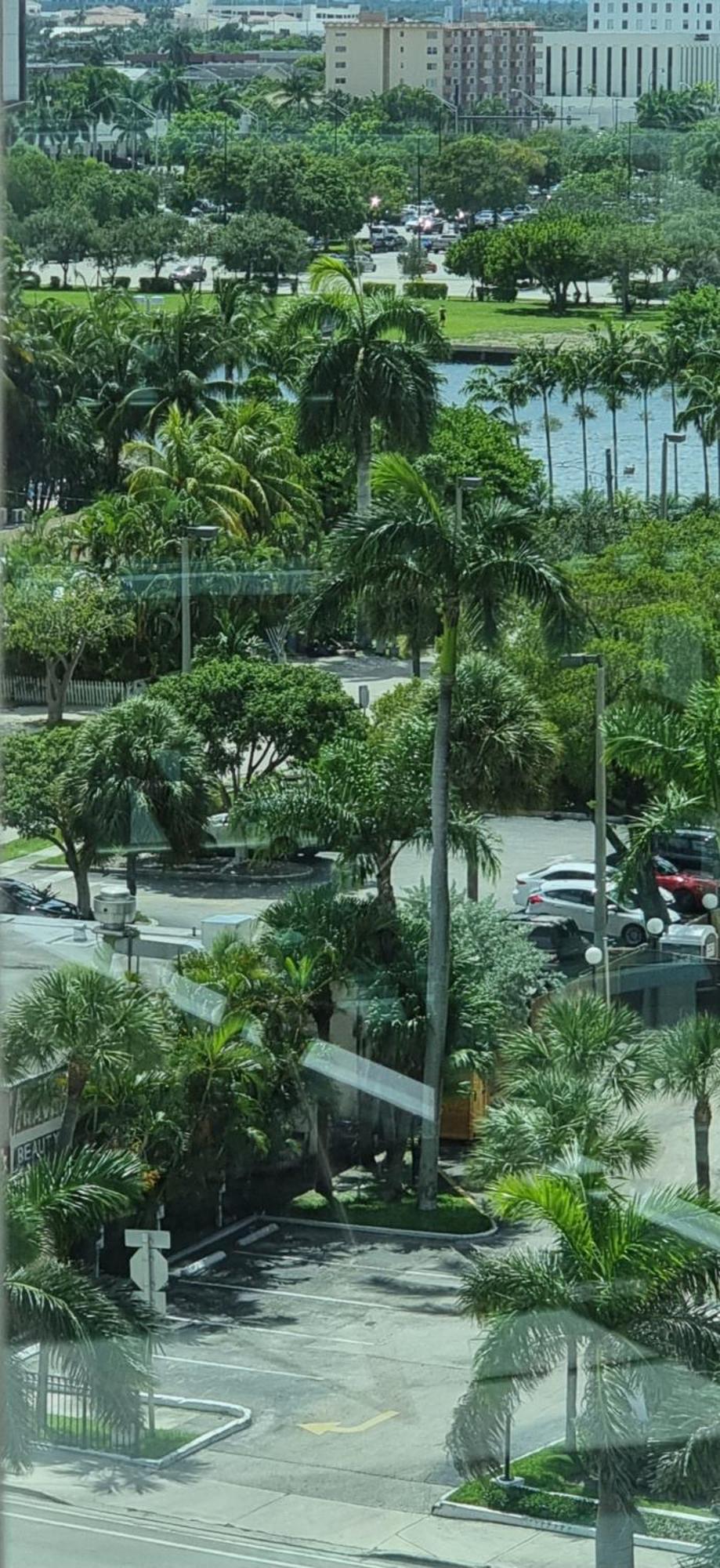 New Luxury Apartment 2Br 2Ba Direct Beach Access 好莱坞 外观 照片